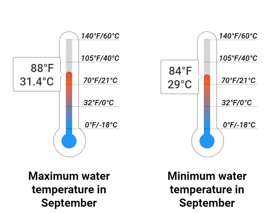 Average Sea temperature